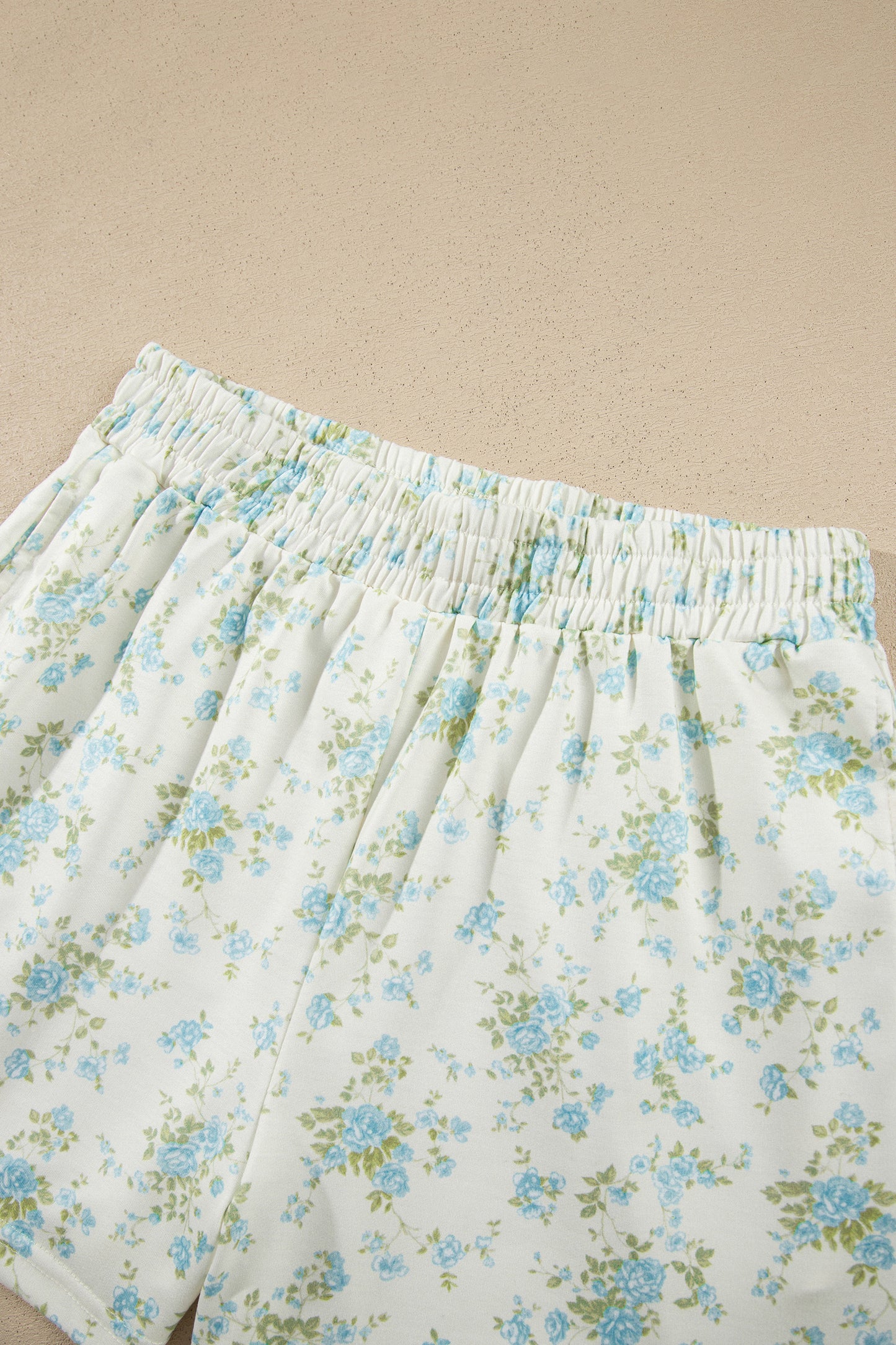 Sky Blue Floral Print Short Sleeve Elastic Waist Pocket Casual Two Piece Short Sets
